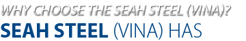 WHY CHOOSE THE SEAH STEEL (VINA)?